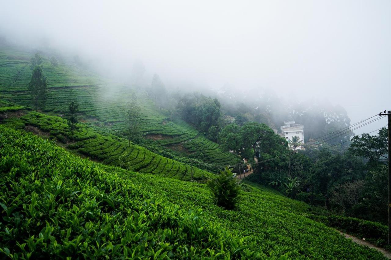 Lime Light Resort Munnar Zewnętrze zdjęcie